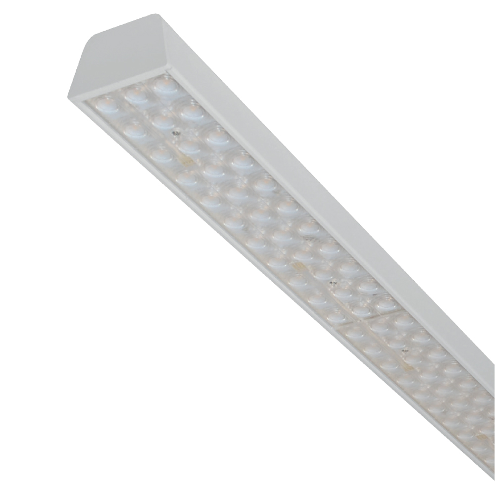 LN3600044 (+) -XXXP30X120